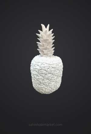 ANANAS BİBLOSU