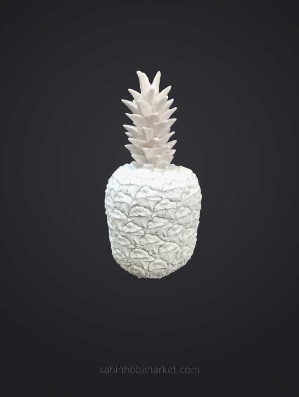ANANAS BİBLOSU