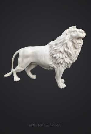 ASLAN BİBLOSU