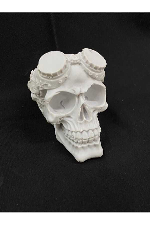 Gözlüklü Kuru Kafa Biblo