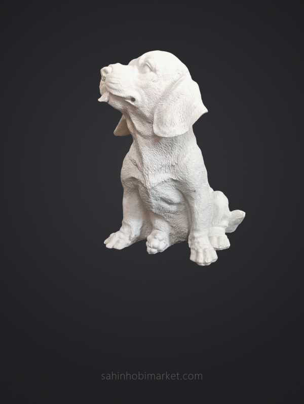Köpek Biblosu (Orta Boy)