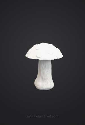 Mantar Biblosu (Orta)