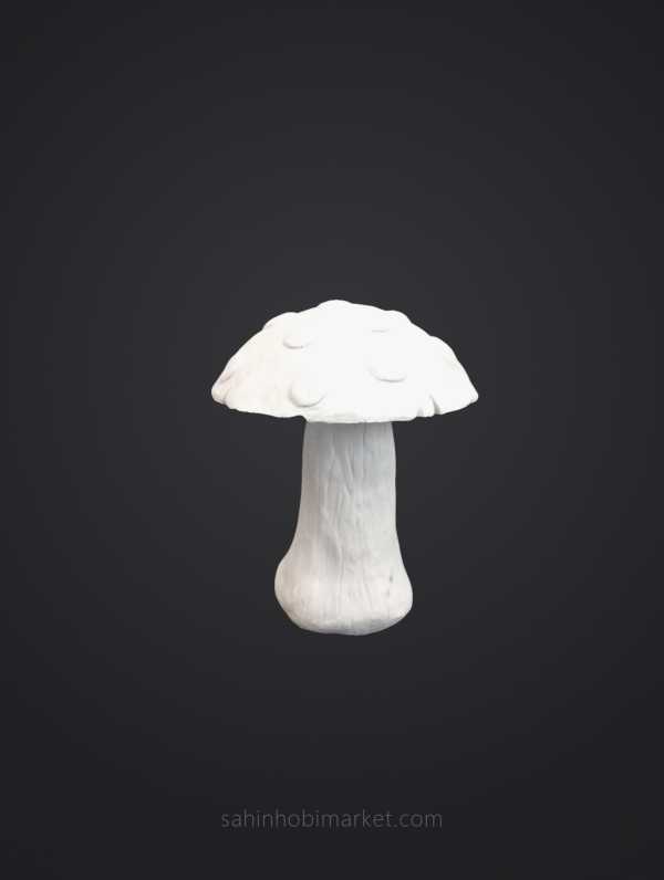 Mantar Biblosu (Orta)