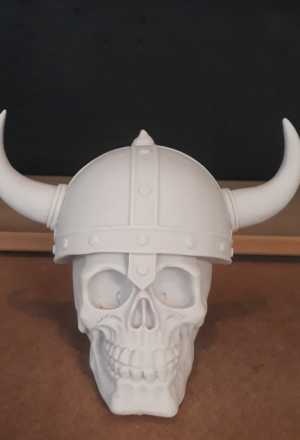 Viking Kuru Kafa Biblo